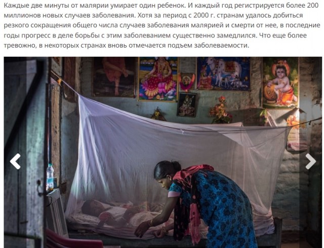 Какая смертность среди людей от укусов животных и насекомых