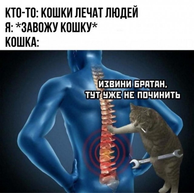 Всего понемногу. От 24.06.2024