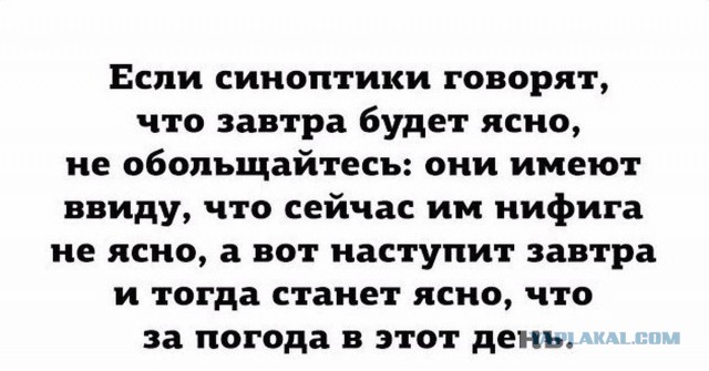 Какие синоптики мудаки!