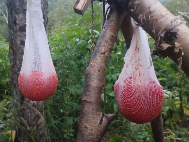 Сгонял на Камчатку