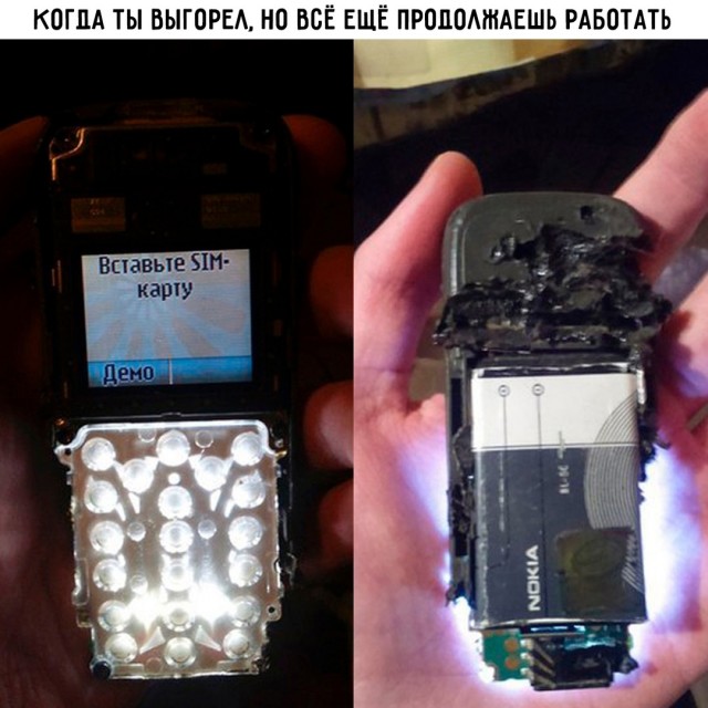 Весёлый полтишок 11.11.24
