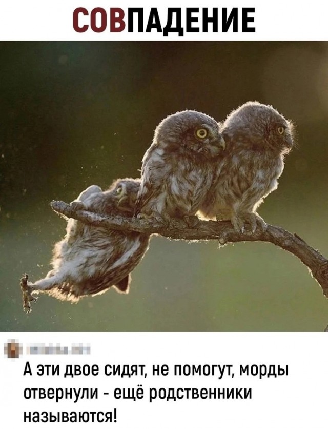 Так себе картинки 25.11.24