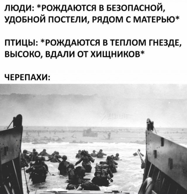 Веселые картинки к пятнице