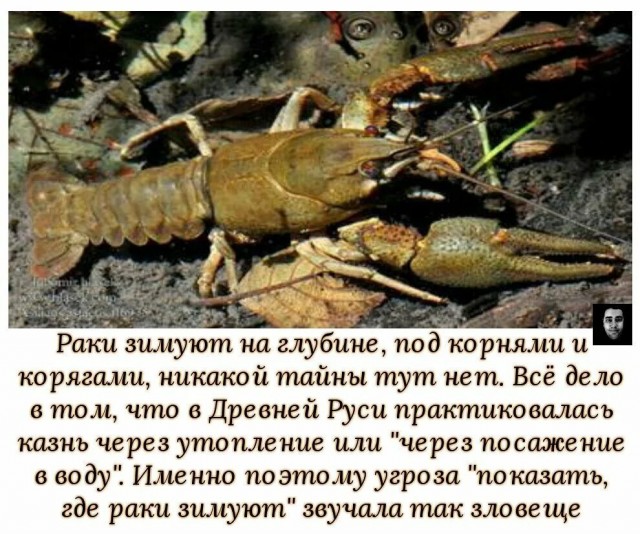 А вы знаете, как добывают раков?