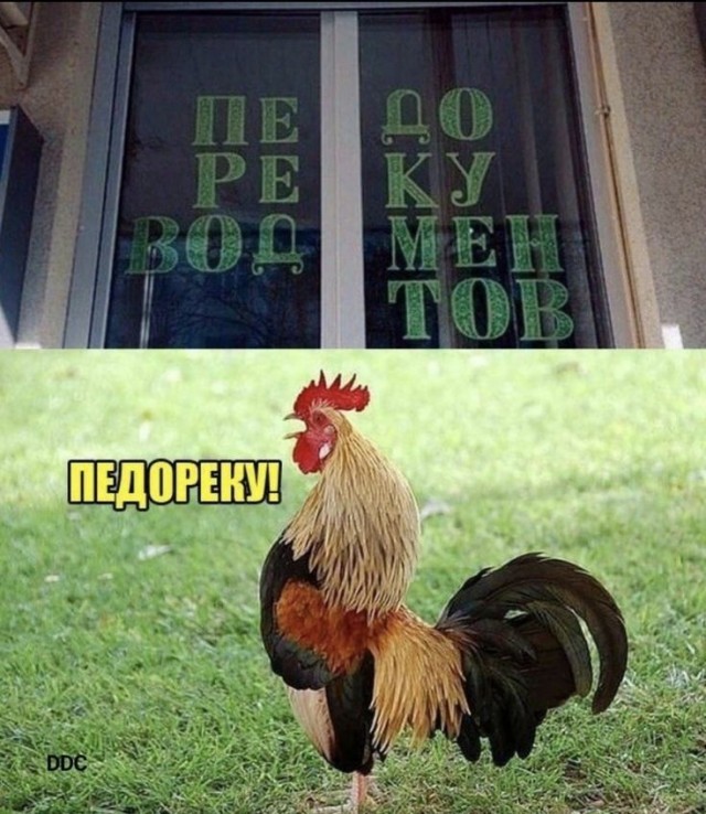 Завалялось тут случайно немного забавных картинок