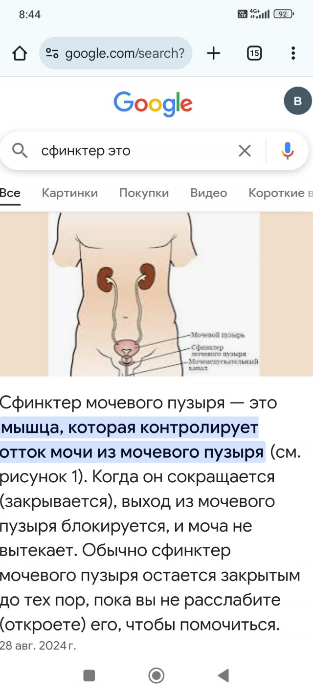 «Сфинктер»: мама привезла детей в Египет, чтобы показать им одно из Чудес света.