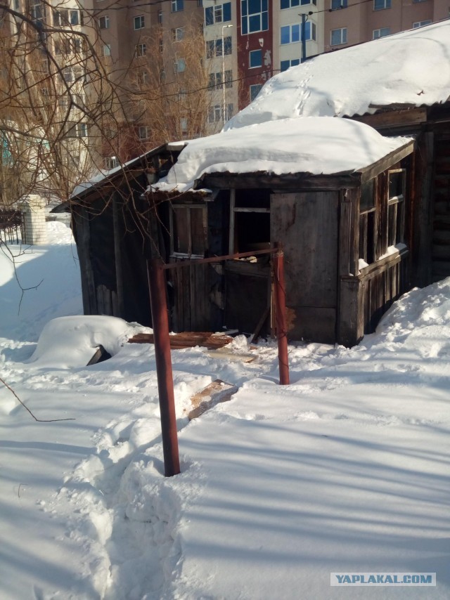 Дождался