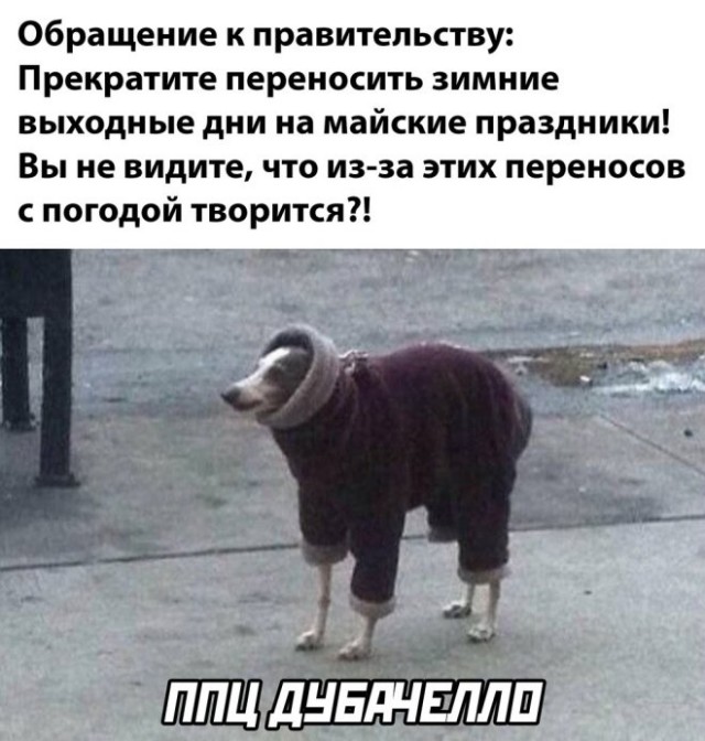 Веселые картинки в понедельник (19.05)