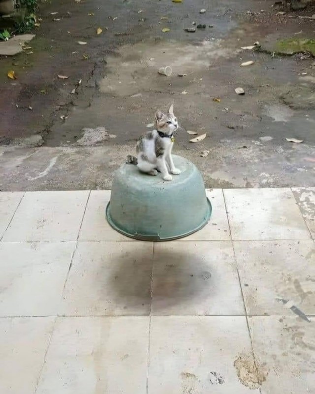 Не то, чем кажется: 15 фото, на которые нужно взглянуть дважды
