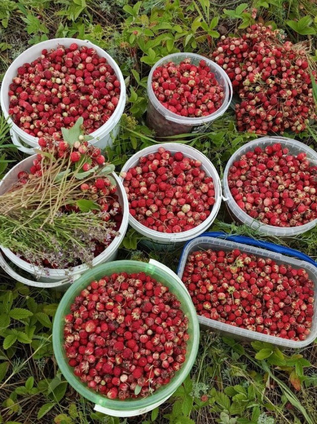 Фотография с запахом