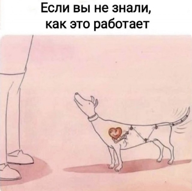 Так себе картинки 25.06.25