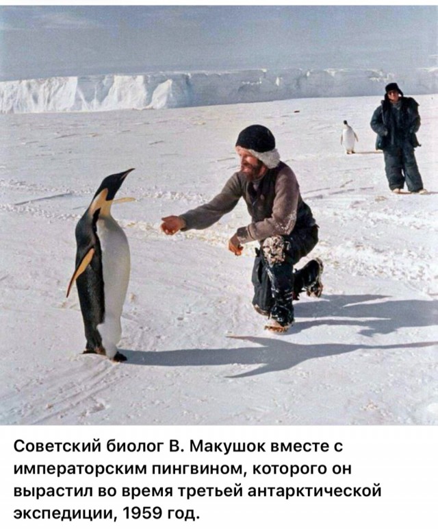 ​ Фотографии из прошлого нашей страны – 114