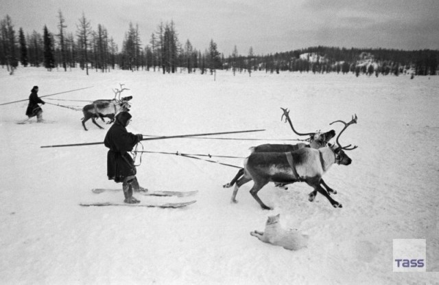 Фотографии из прошлого нашей страны – 115