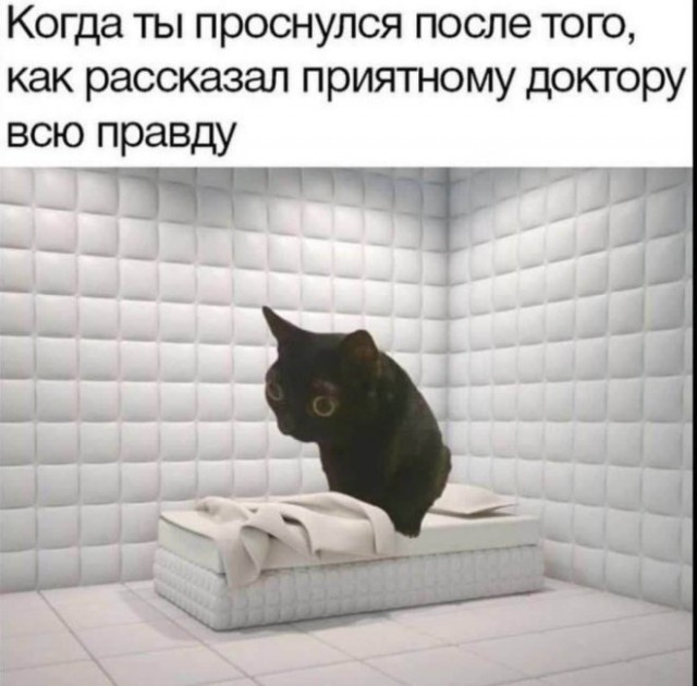 Картинки для деградации 53 (разной степени свежести)