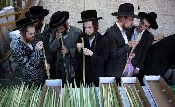 В Израиле амнестируют ортодоксов-дезертиров