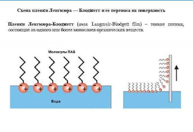 Может кто-нибудь подсказать, что за чудо?