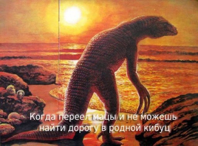 Небаянистая деградация 13 (Дегрономикон)