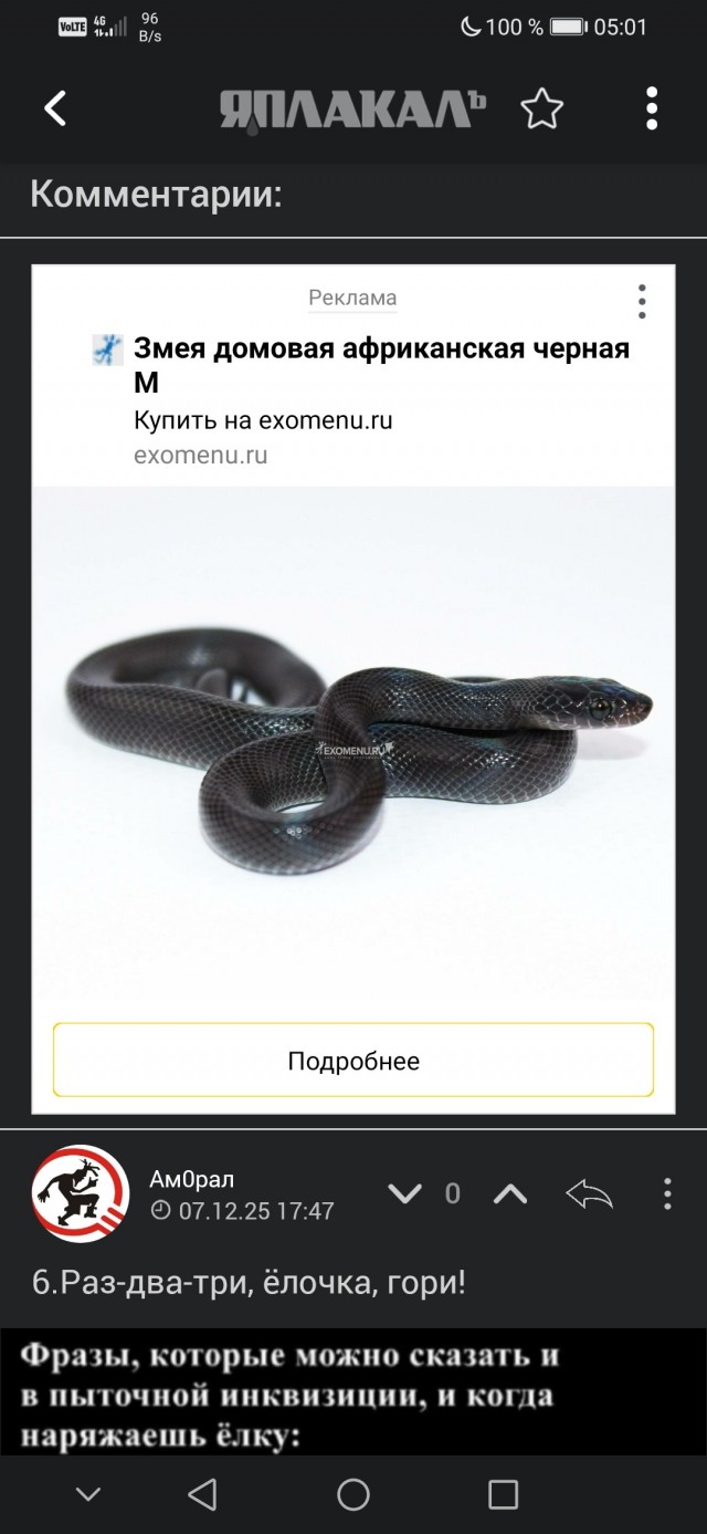 Так себе картинки 07.12.25