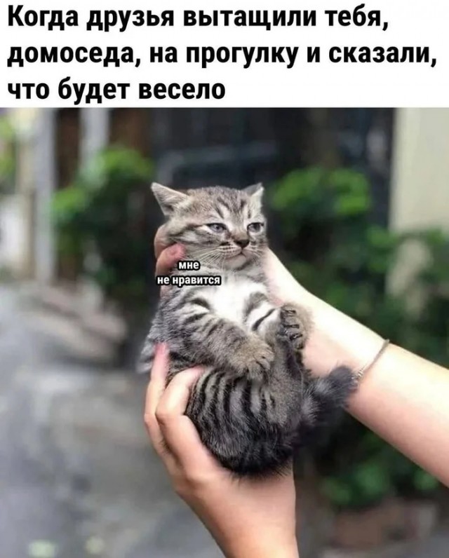 Прикольные и просто красивые картинки 06.01. 2026