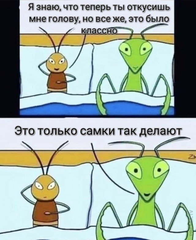 Веселые картинки в маленькую пятницу (18.02)