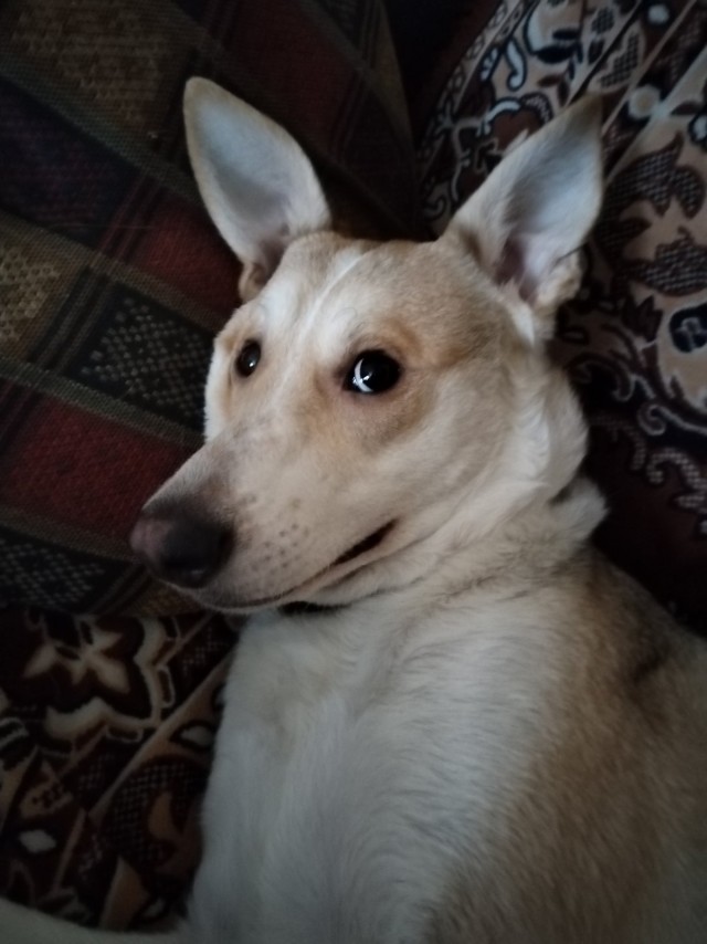 Чистейший звук...