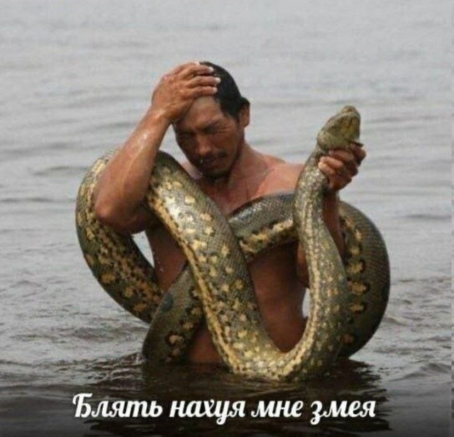 Картинки для деградации 200 (разной степени свежести)