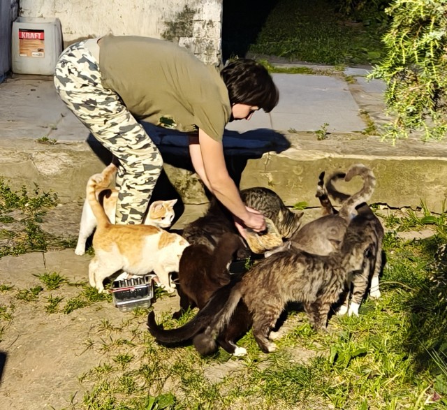 Пара слов про котиков и людей.