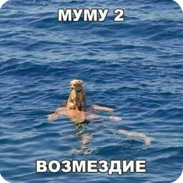 Веселые картинки в понедельник (06.07)