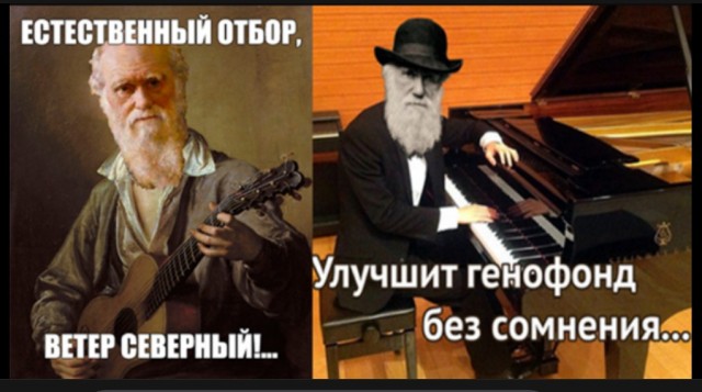 Необдуманный прыжок