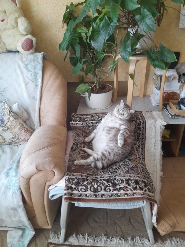 Отдавали крохотным