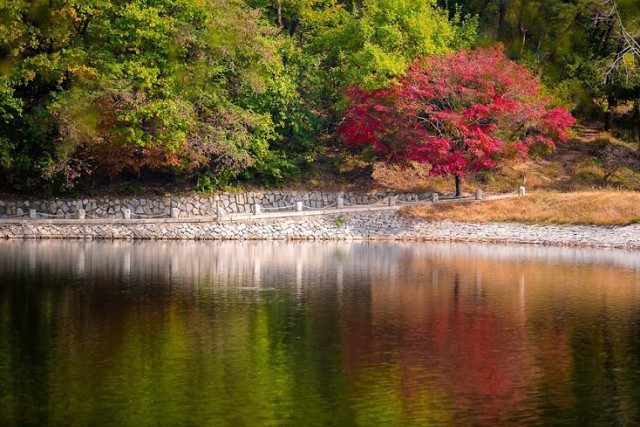 Как живут люди в Северной Корее