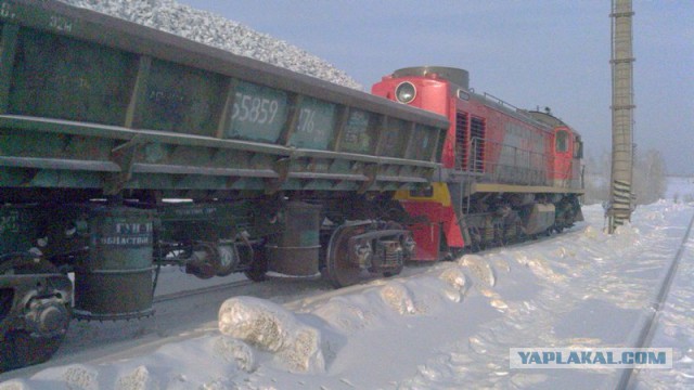 Победители фотоконкурса
