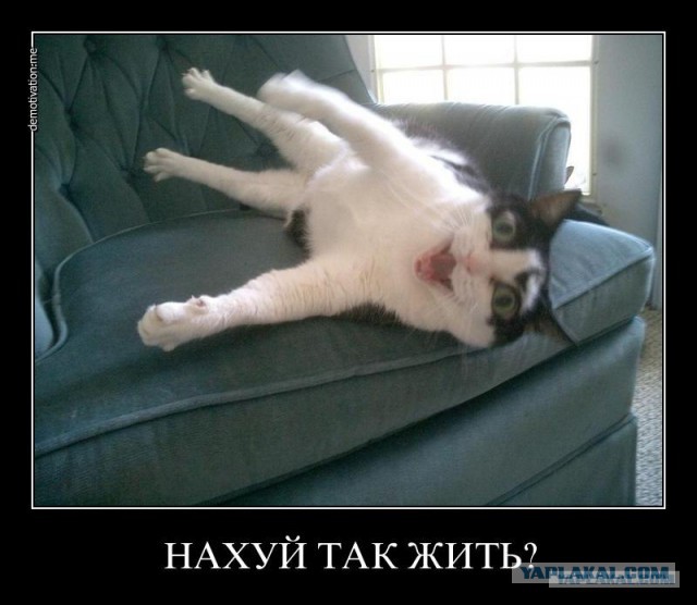 Конец света в Киеве