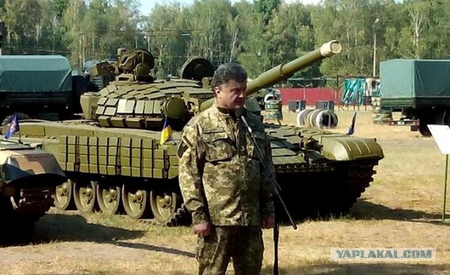 Паранойя