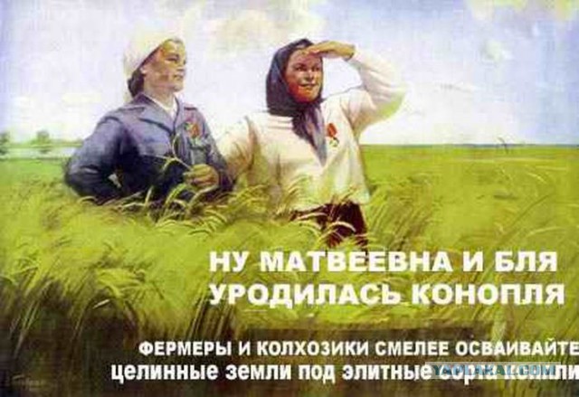 Демотиваторов пост, добавляйте свои