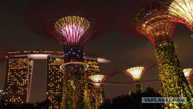 Сингапур. Гостиница "Марина Бэй"