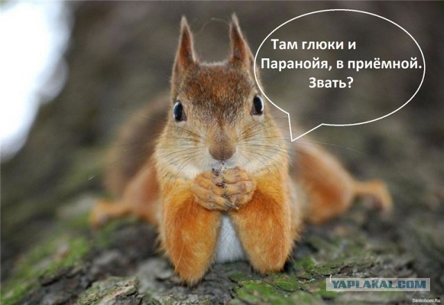 Порошенко пригрозили наступлением.
