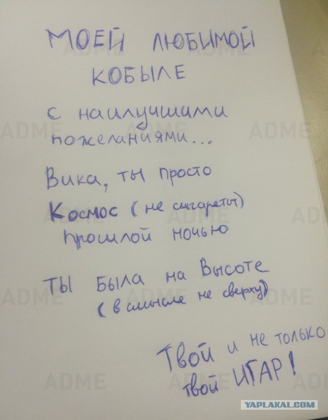Записки, которые могли написать только женщины