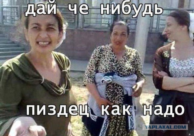 Инструкция как подавать милостыню цыганам