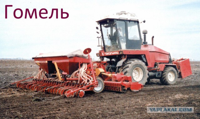 Тамбовский волк тебе товарищ...