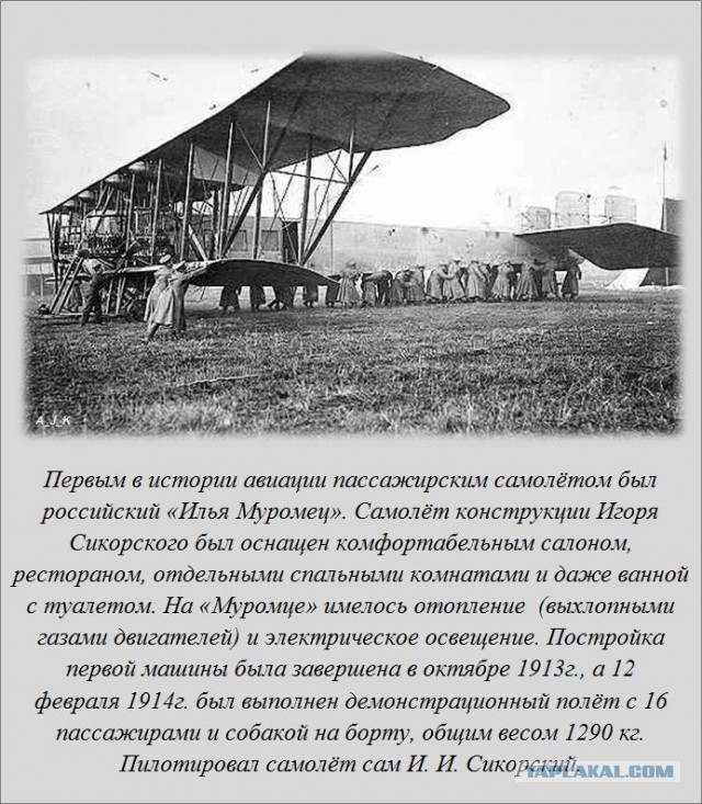 20 фактов обо всем