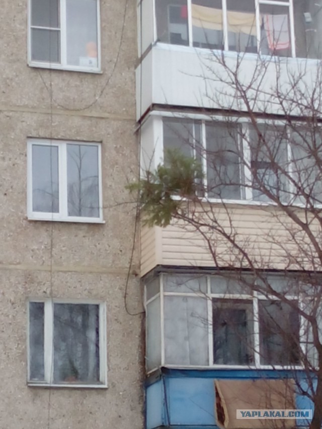 Разные разности с телефона