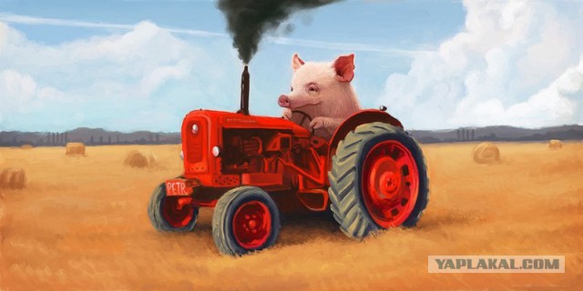 Яценюк предложил возвести на границе с Россией