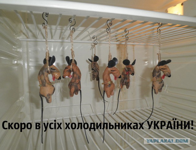 Гривнозавр! Или черный рынок валют 404