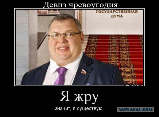 В Госдуме предложили
