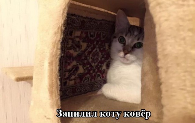 Главная ошибка женщин, которые хотят замуж