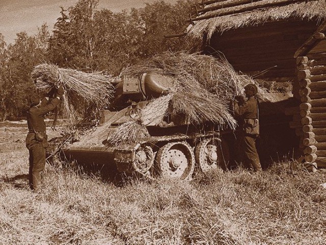 Японский боевой куст