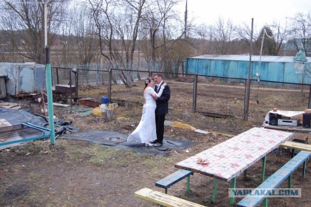 Свадебный трэш