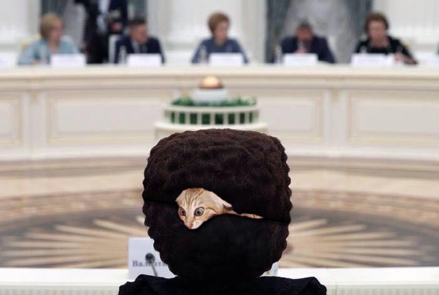 Фотожабы на кандибобер
