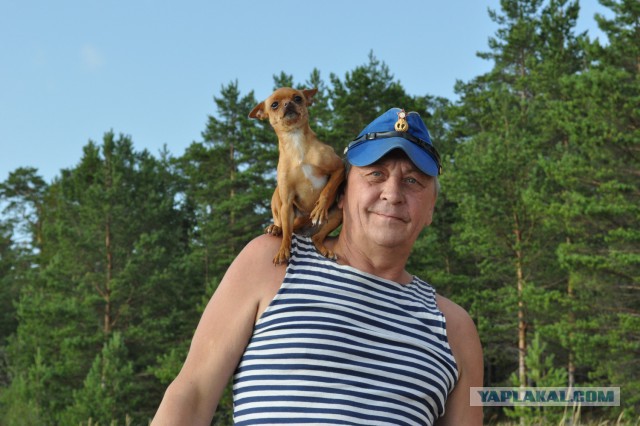Была бы прочна палатка, да был бы не скучен путь!